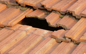 roof repair Huntingford